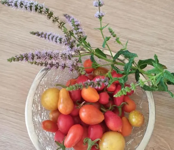 Dream Home- Santorini Cave House