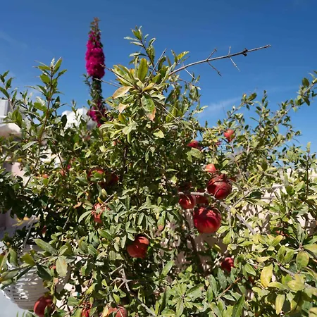 Dream Home- Santorini Cave House Feriehus Karterádos