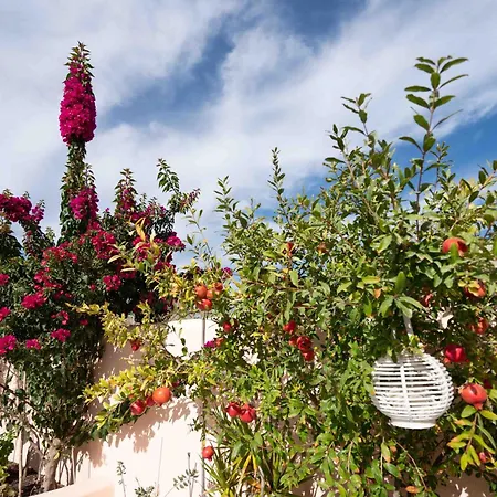 Nyaraló Dream Home- Santorini Cave House