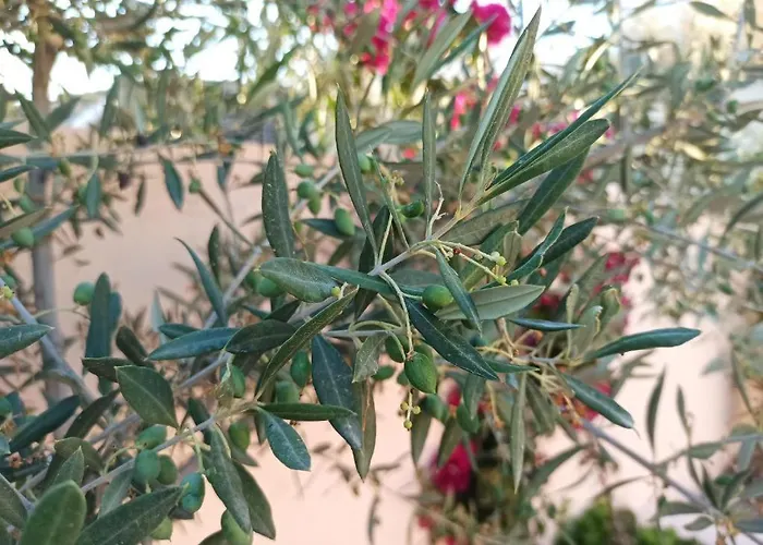 بيت للعطل Dream Home- Santorini Cave House